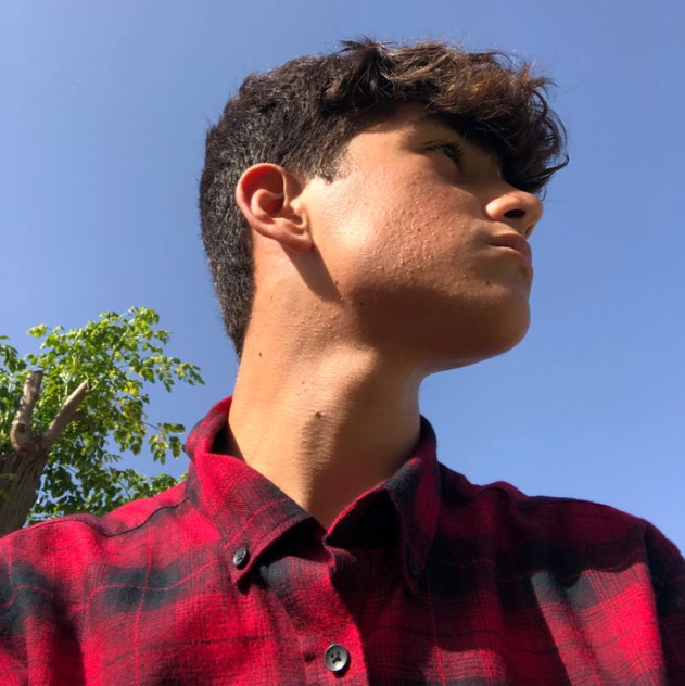 <em>David Moreno Q.</em>